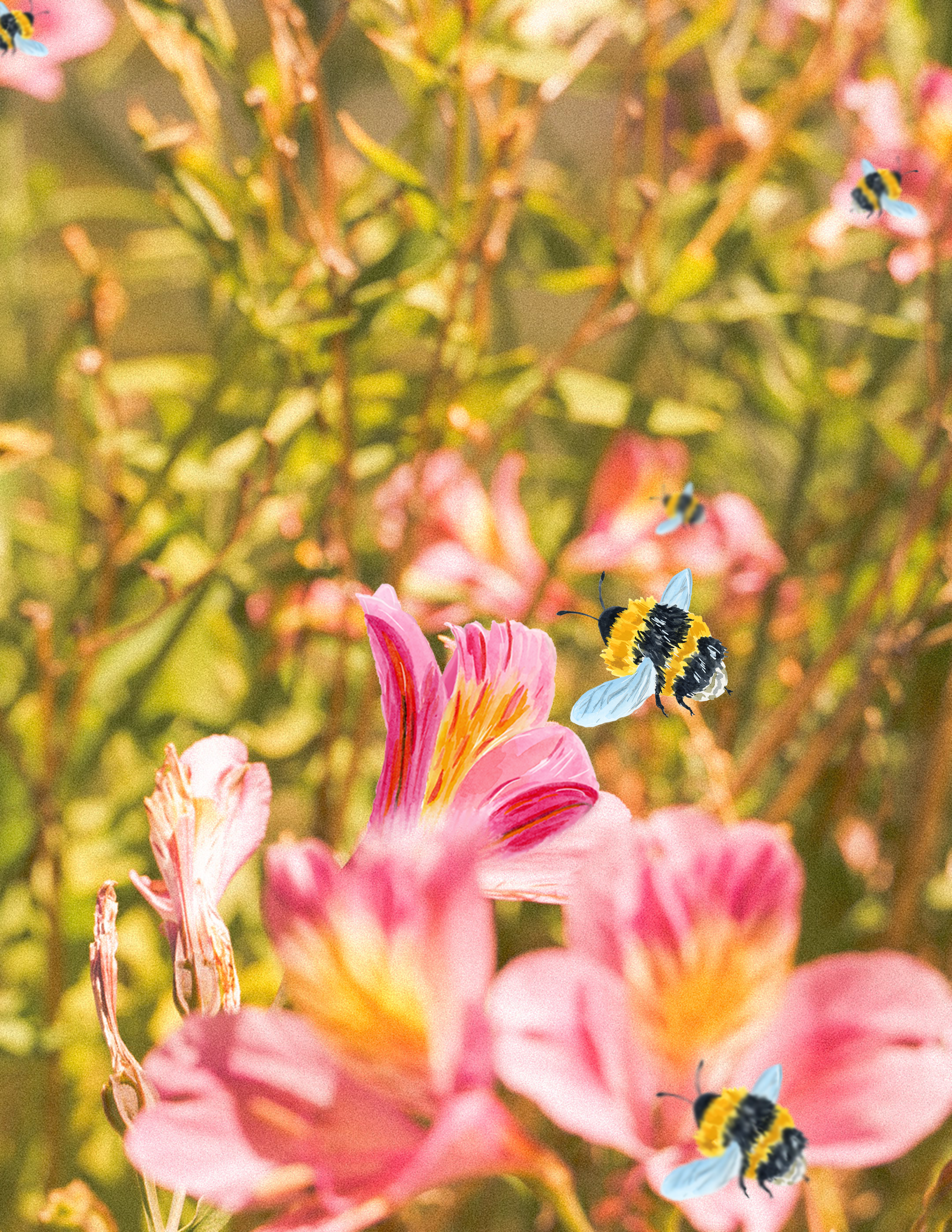 Honeybees in the Garden.png