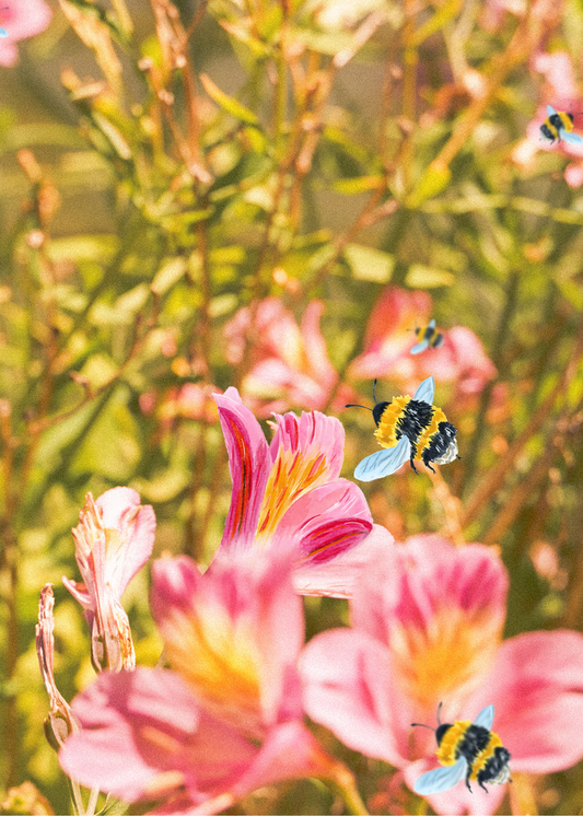 Honeybees in the Garden